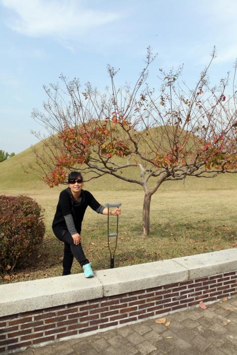[6대] 고양시의회 국내연수_경주 (2013.10.30~11.01)