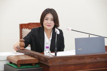 20250617_[9대]제295회 고양특례시의회 제1차정례회_예산결산특별위원회