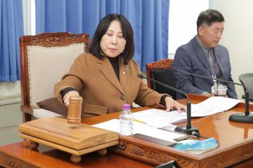 20241125_[9대]제290회 고양특례시의회 제2차 정례회_의회운영위원회